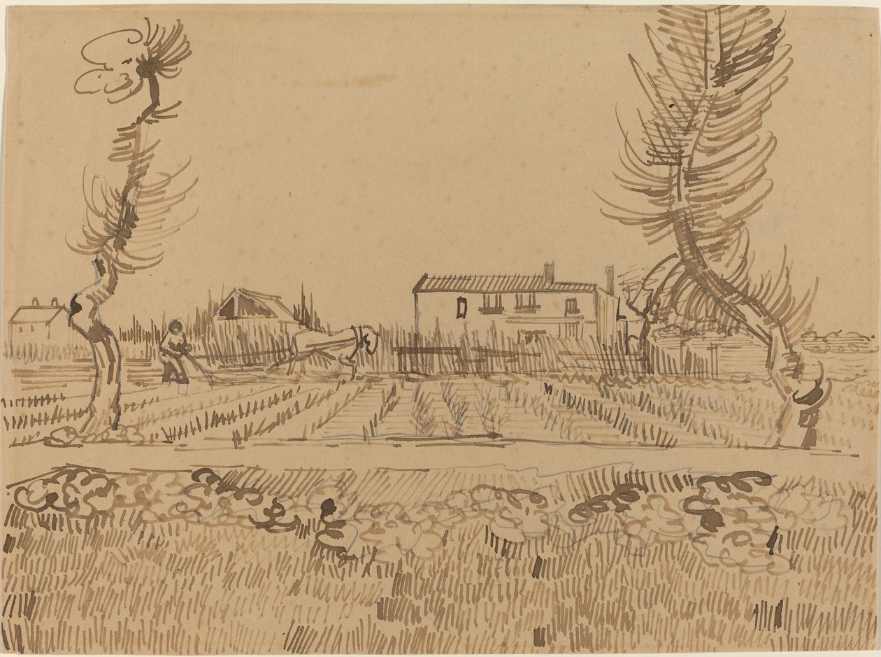 Szántóember az Arles melletti mezőkön, 1888. alkotó: Vincent van Gogh