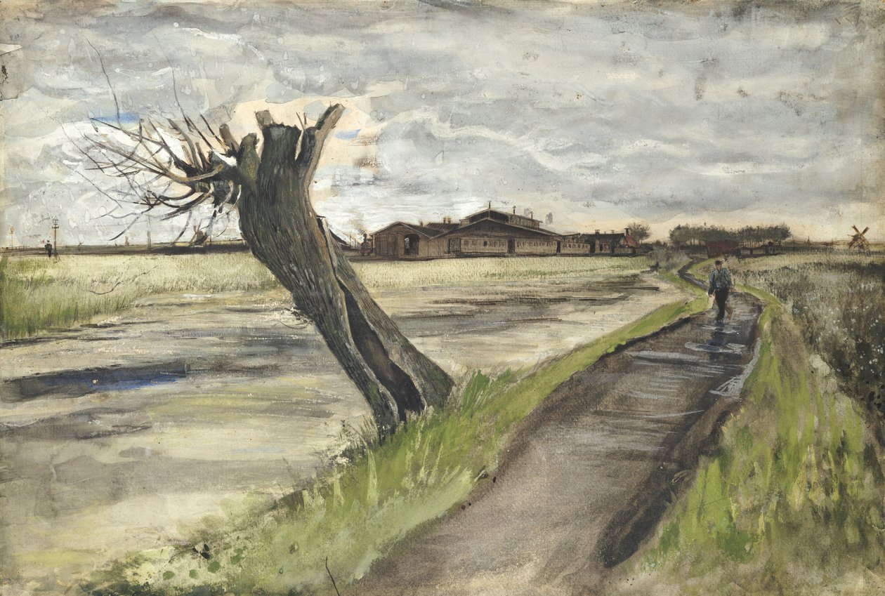 Pollard Willow, 1882 alkotó: Vincent van Gogh