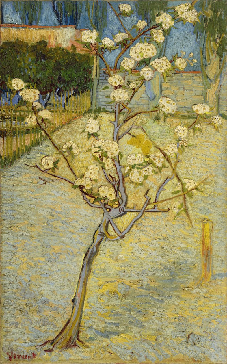 Virágzó kis körtefa alkotó: Vincent van Gogh