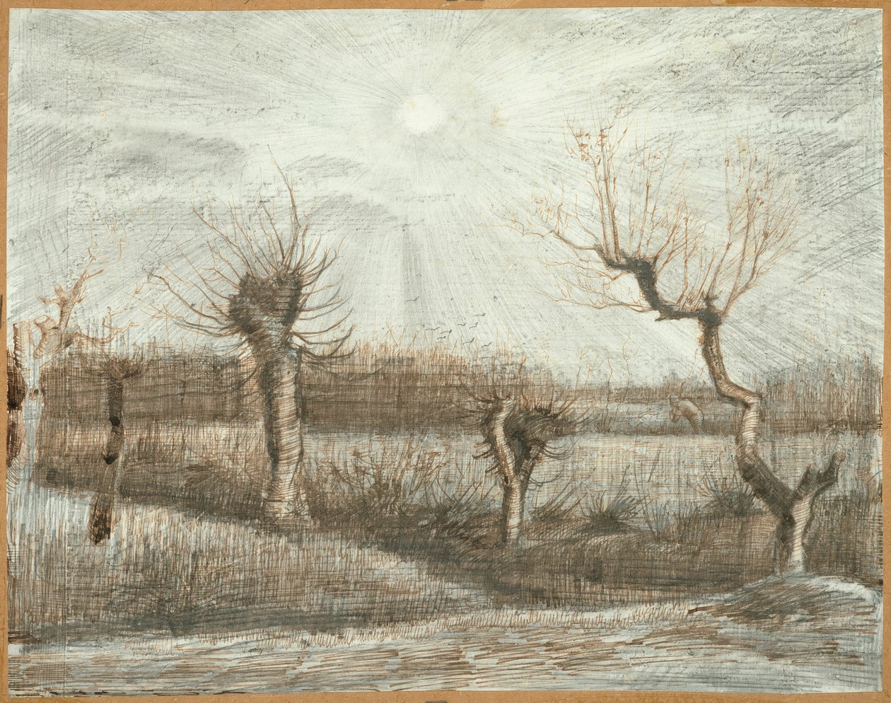 Tetards (pollard) alkotó: Vincent van Gogh
