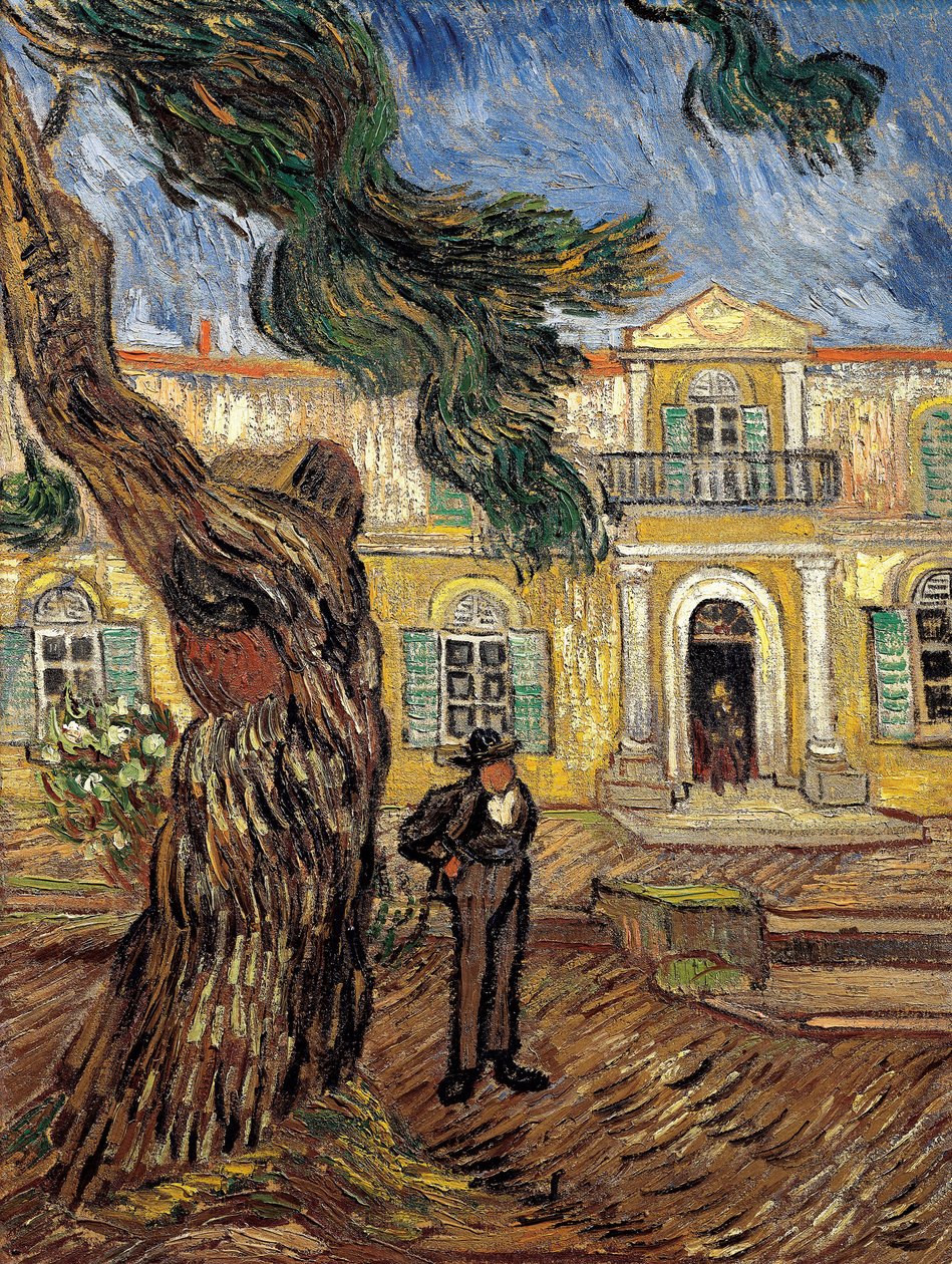 A Saint Paul Kórház Saint Remy de Provence-ban - olaj, vászon alkotó: Vincent van Gogh