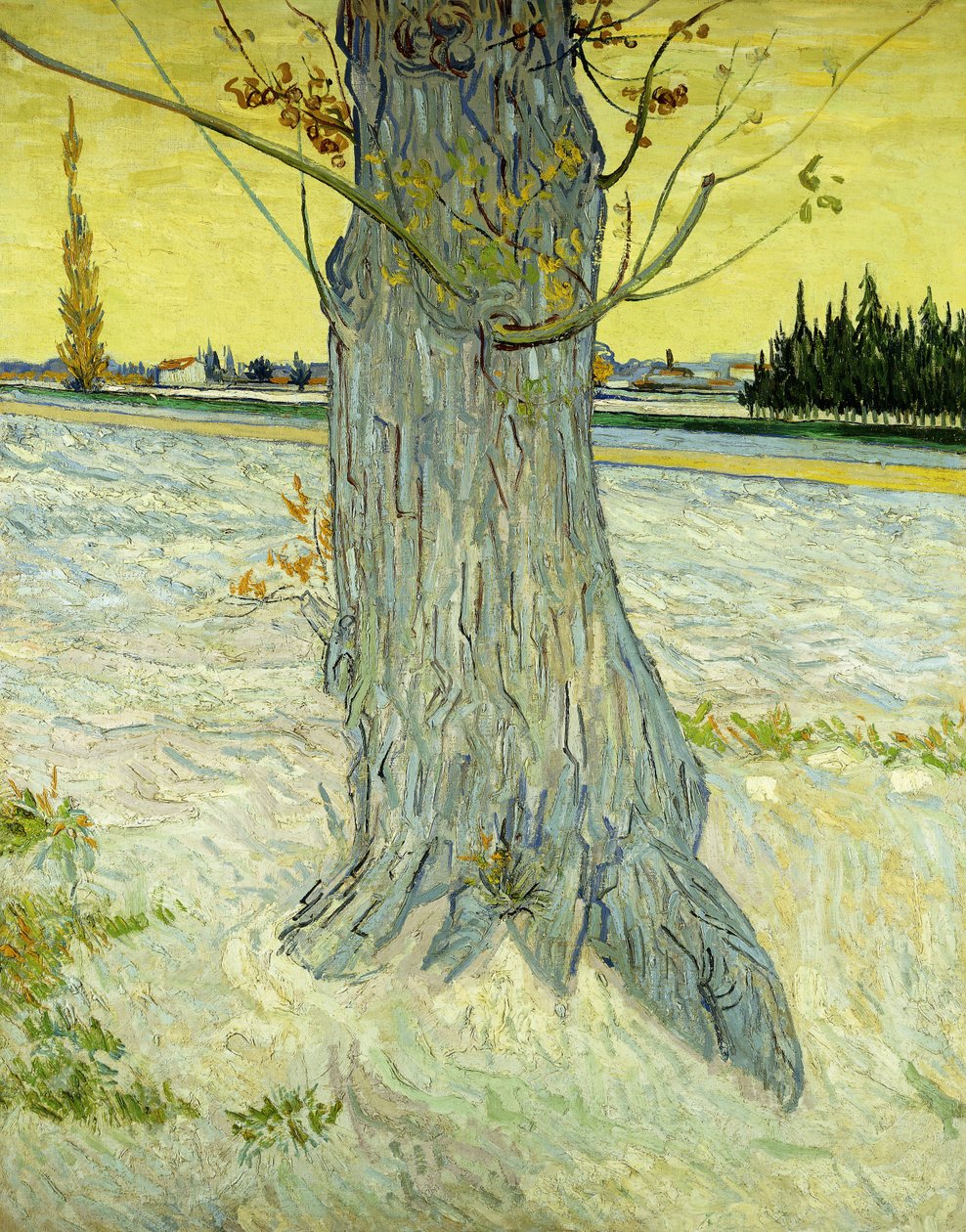 Az öreg fa; Le Vieil If alkotó: Vincent van Gogh