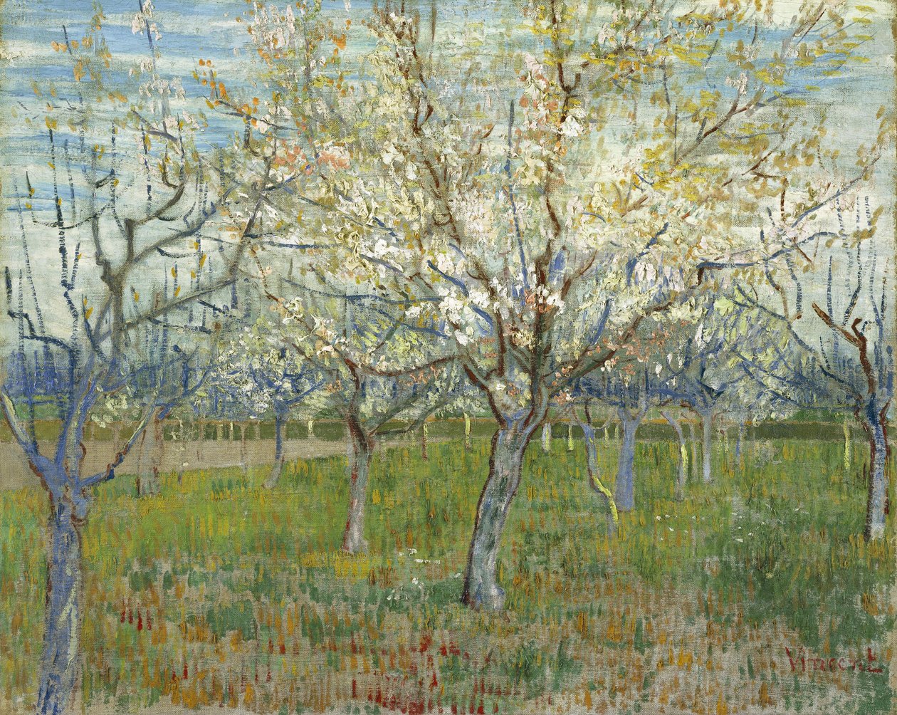 A rózsaszín gyümölcsös, avagy Gyümölcsös virágzó kajszifákkal alkotó: Vincent van Gogh