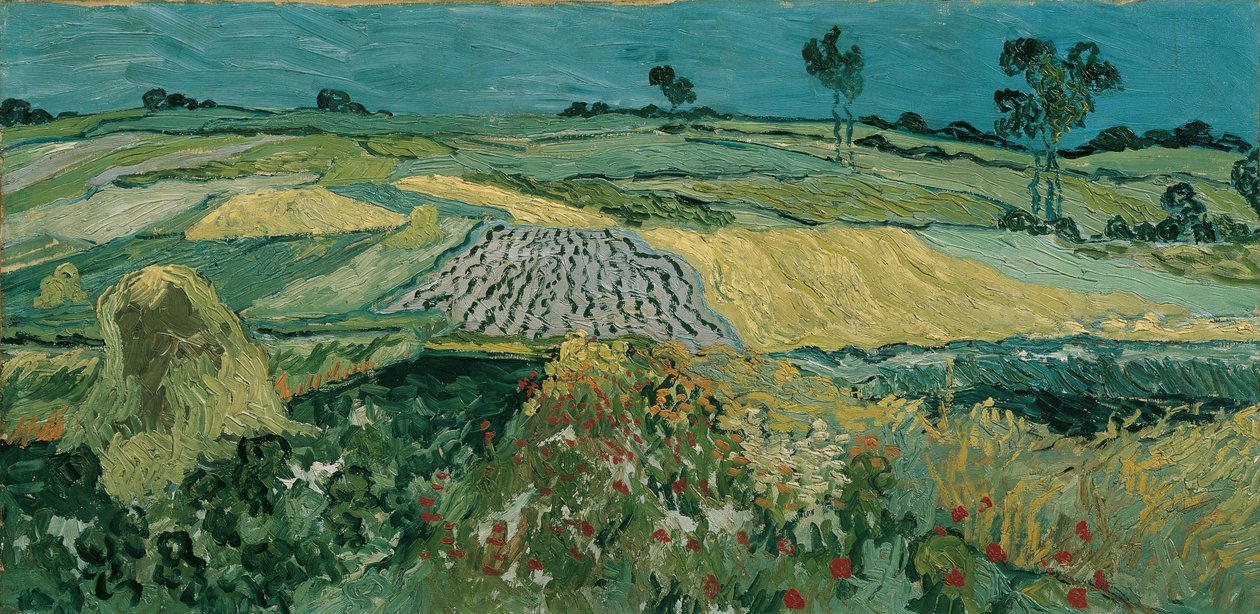 Az auversi síkság, 1890 alkotó: Vincent van Gogh