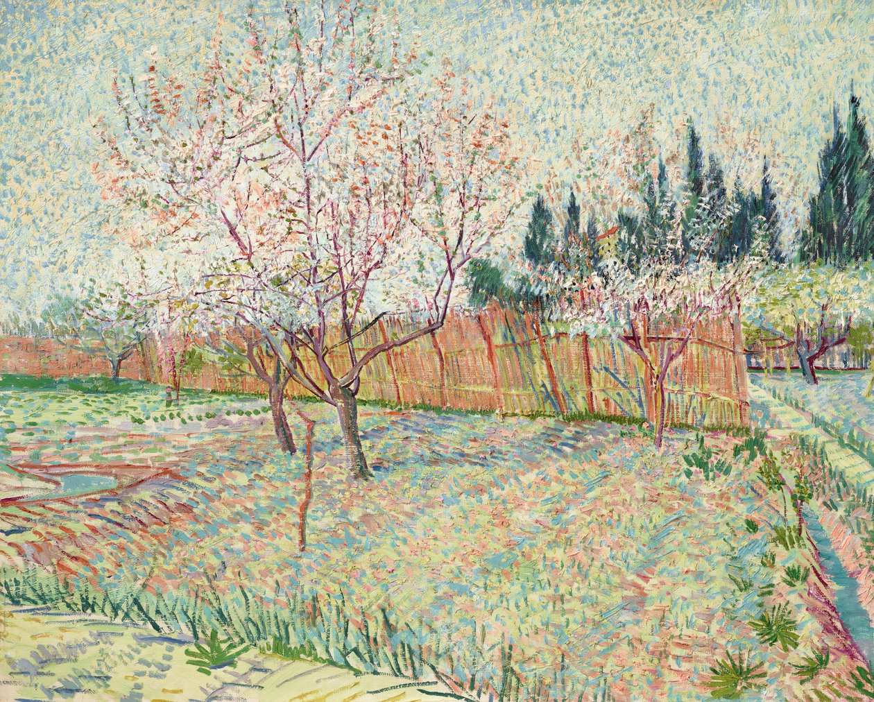 Gyümölcsöskert ciprusokkal alkotó: Vincent van Gogh