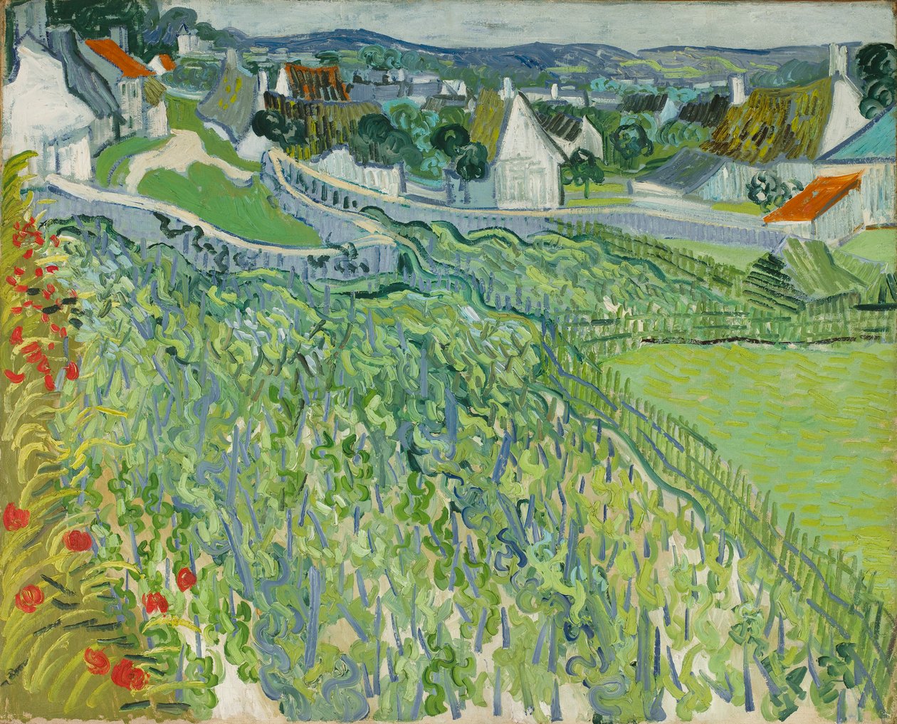 Szőlőültetvények Auversben alkotó: Vincent van Gogh