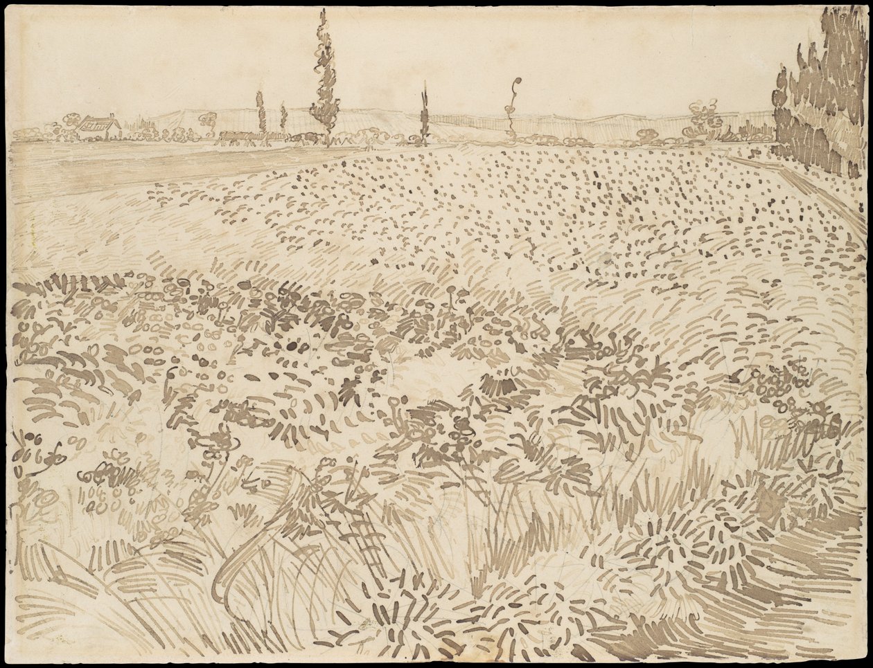 Búzamező alkotó: Vincent van Gogh