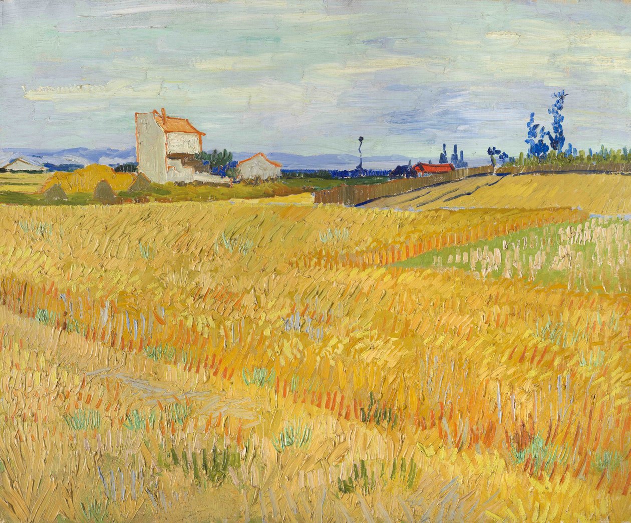 Búzamező (Champs de blé) alkotó: Vincent van Gogh