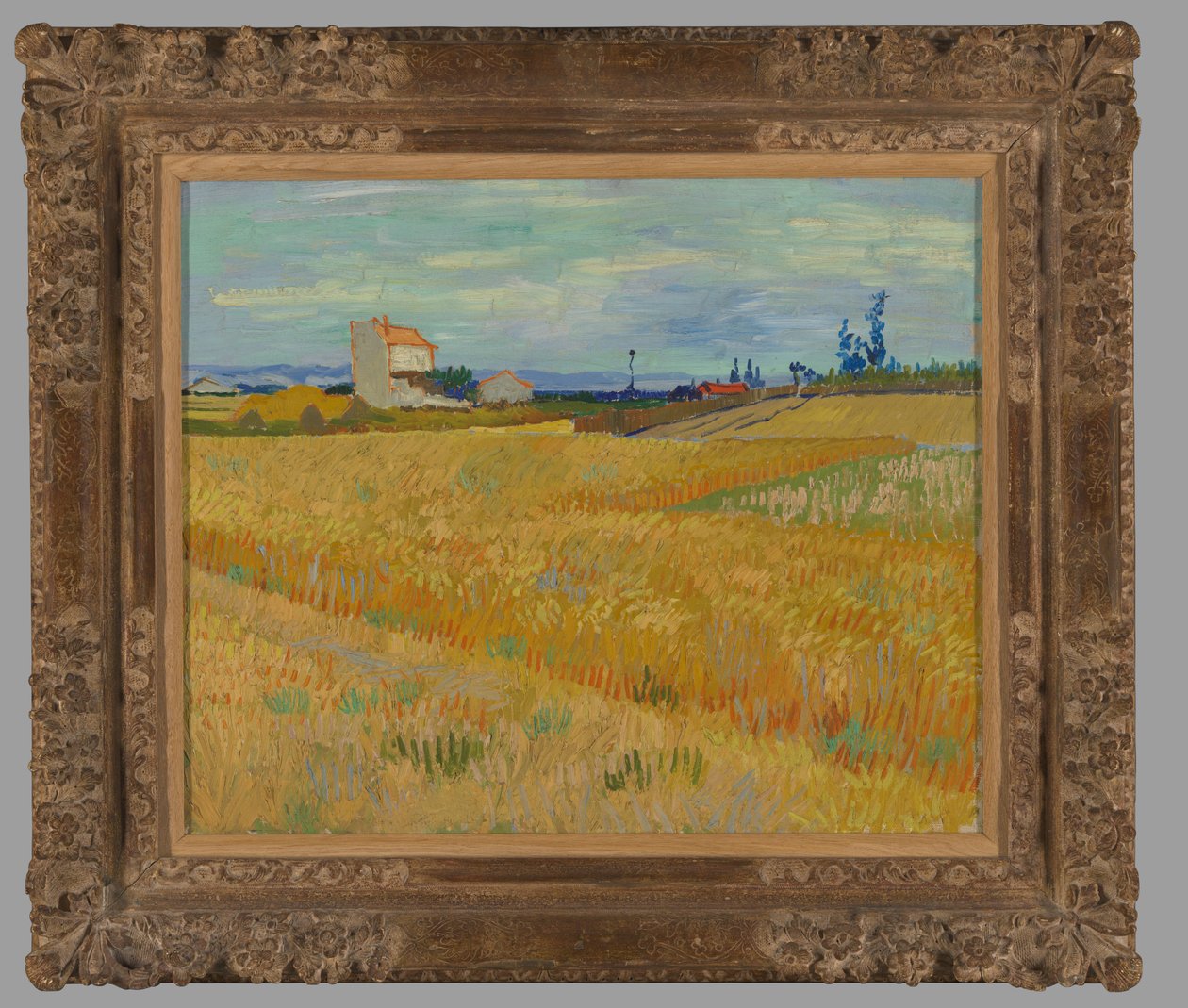 Búzamező alkotó: Vincent van Gogh