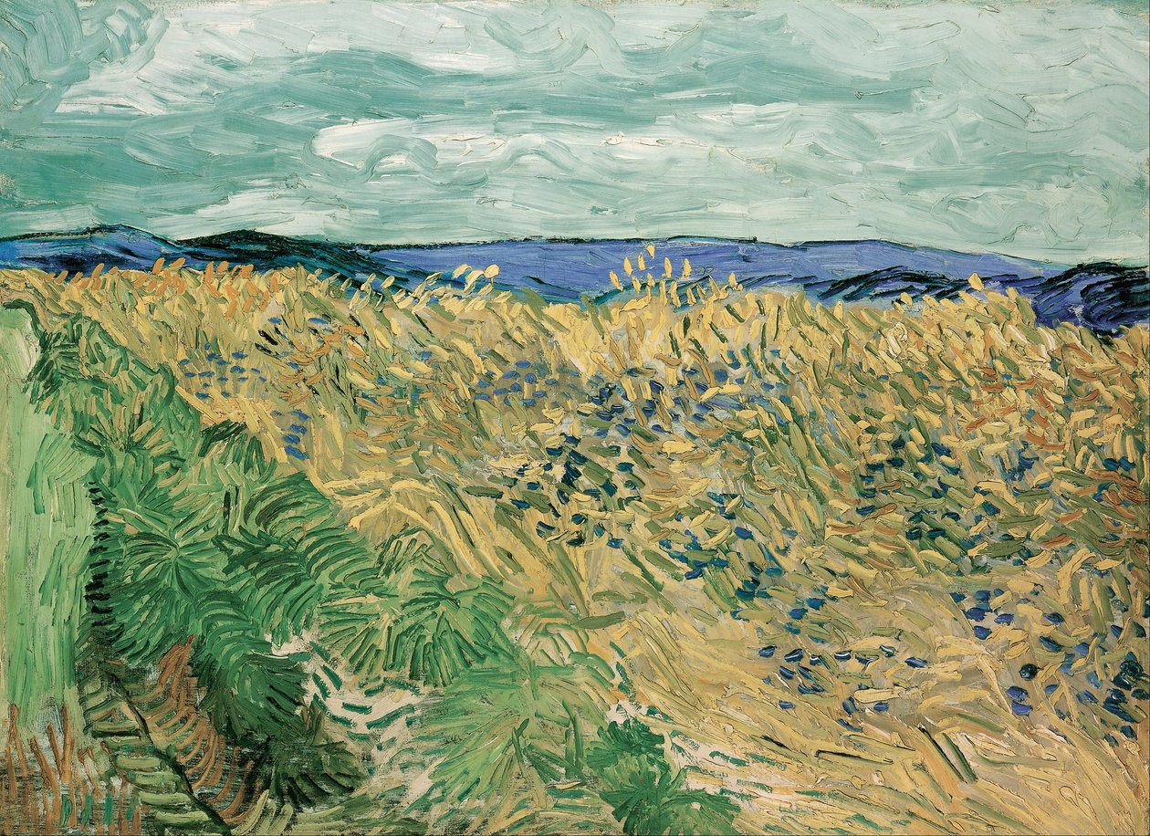 Búzamező búzavirággal alkotó: Vincent van Gogh