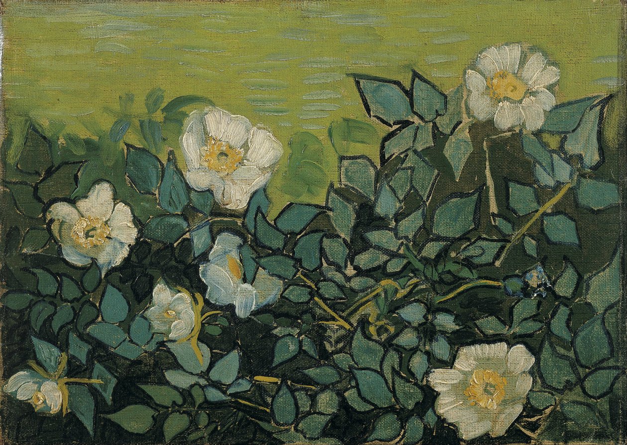 Vadrózsák alkotó: Vincent van Gogh