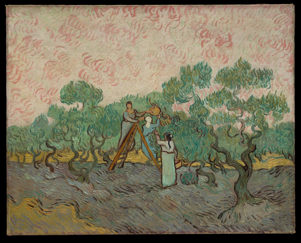 Olajbogyót szedő nők alkotó: Vincent van Gogh