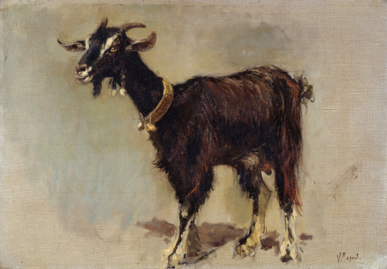 Kecske alkotó: Vincenzo Caprile