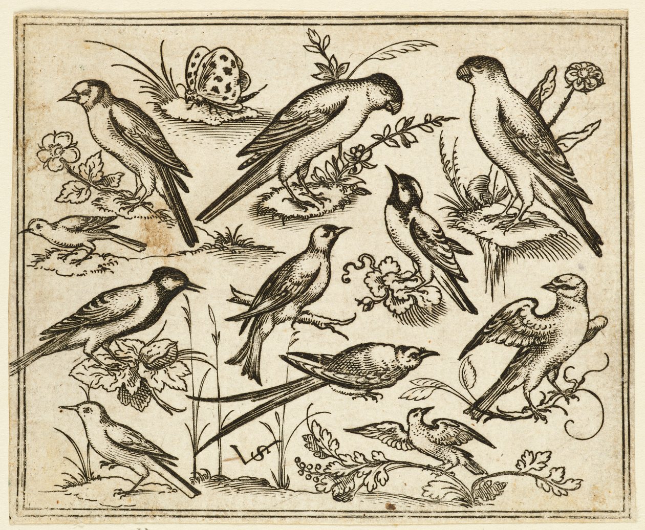 Tizenegy madár ül virágzó lombfoltokon és apró ágakon..., 1557. alkotó: Virgil Solis