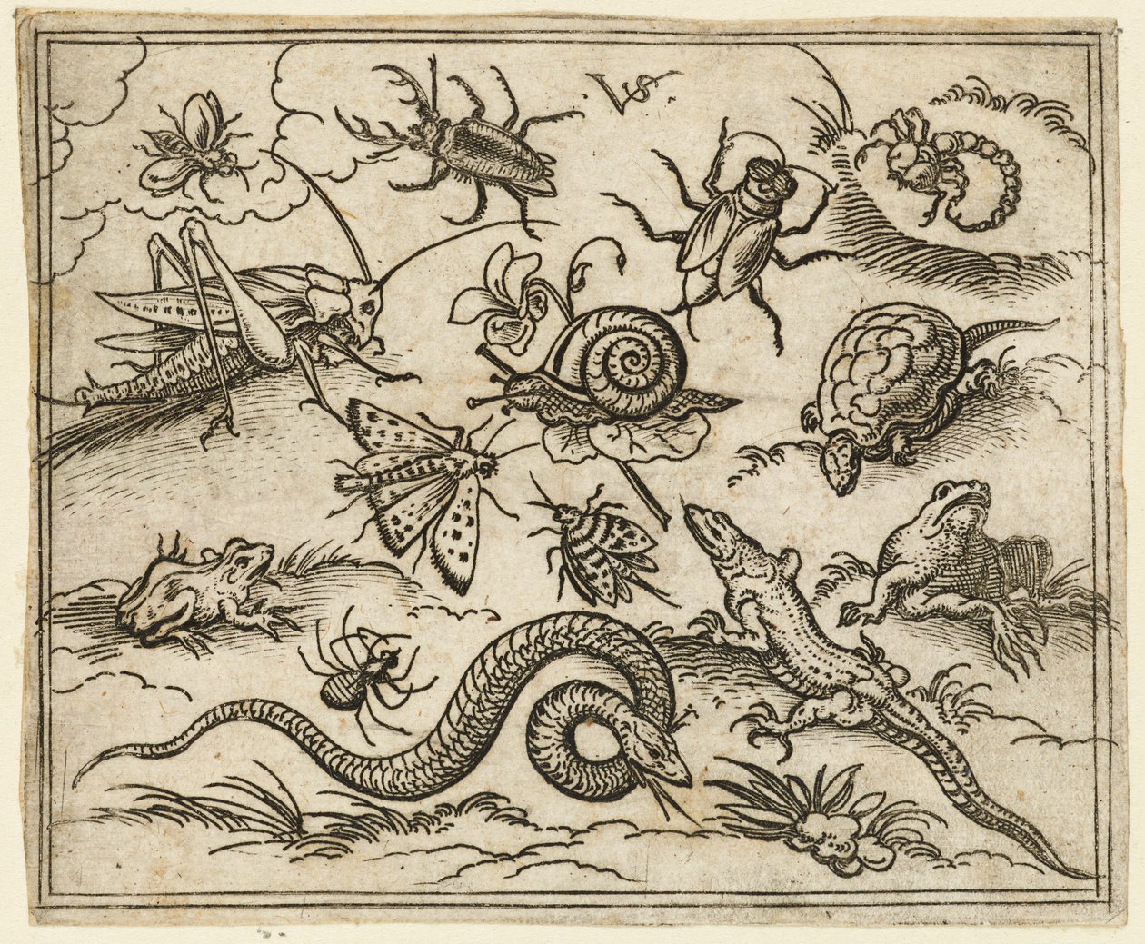 Rovarok és hüllők csoportja sziklákkal teli, sík talajon, köztük leguán, gyík..., 1557. alkotó: Virgil Solis