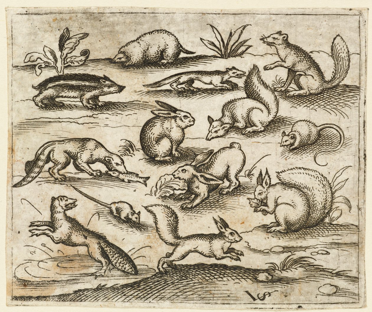 Kis erdei lények csoportja, akik esznek és futnak egy tóban, köztük egy egér..., 1557. alkotó: Virgil Solis