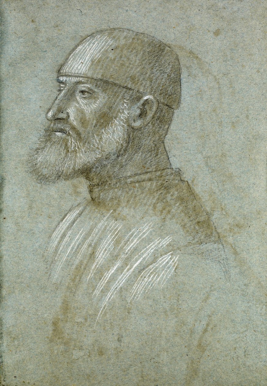 Szakállas fej, sapkát visel, a profil bal oldalán alkotó: Vittore Carpaccio