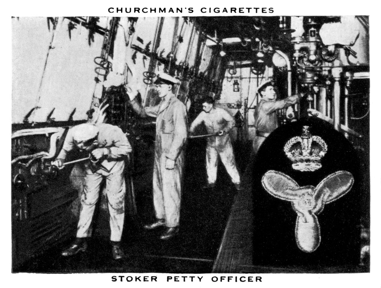 Stoker tiszt, 1937. alkotó: WA and AC Churchman