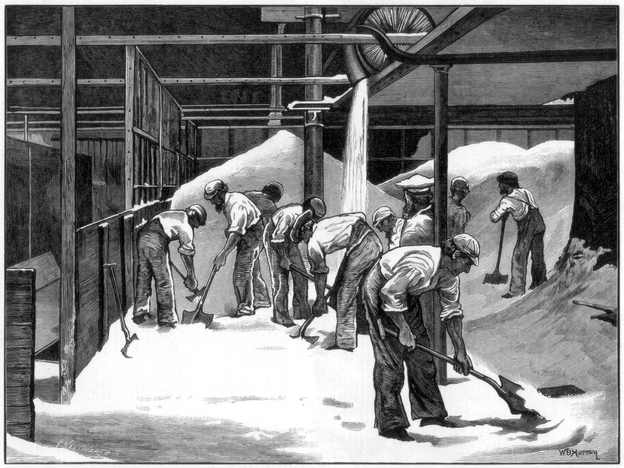 Cukorgyártás a Counterslip finomítóban, Bristol, 1873. alkotó: WB Murray