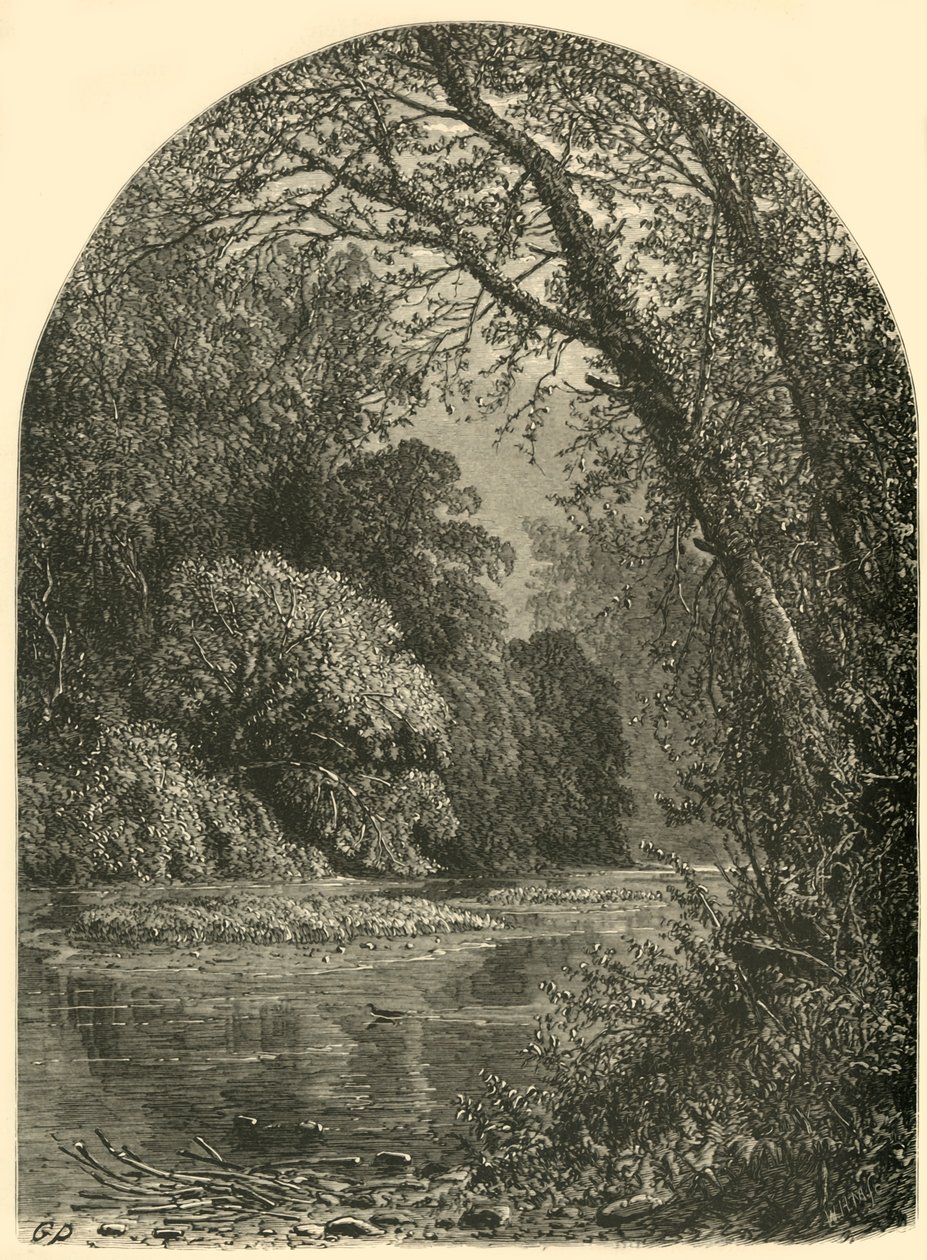 „Moss Islands, in the Juniata”, 1874. alkotó: W.H. Morse