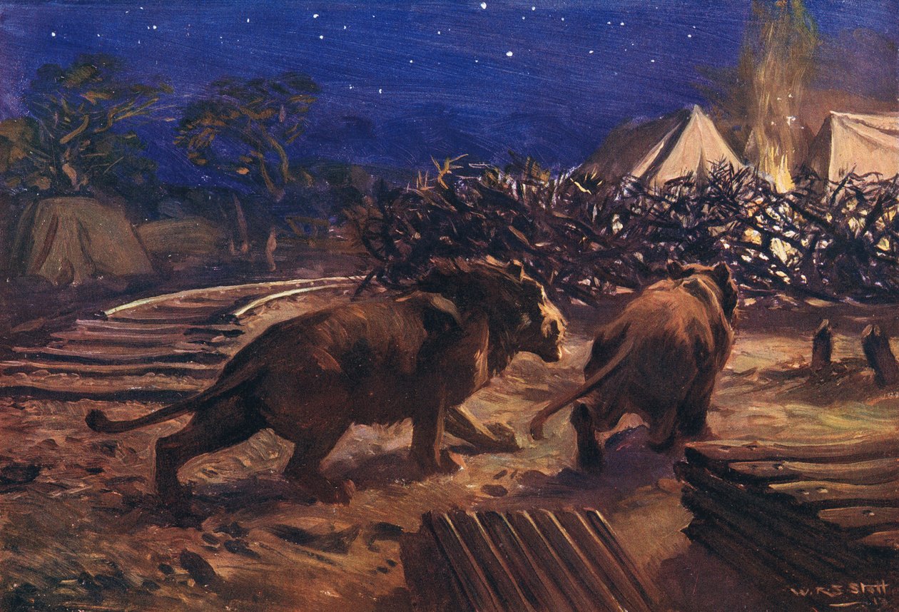 A vasutas ellensége alkotó: W.R.S. Stott