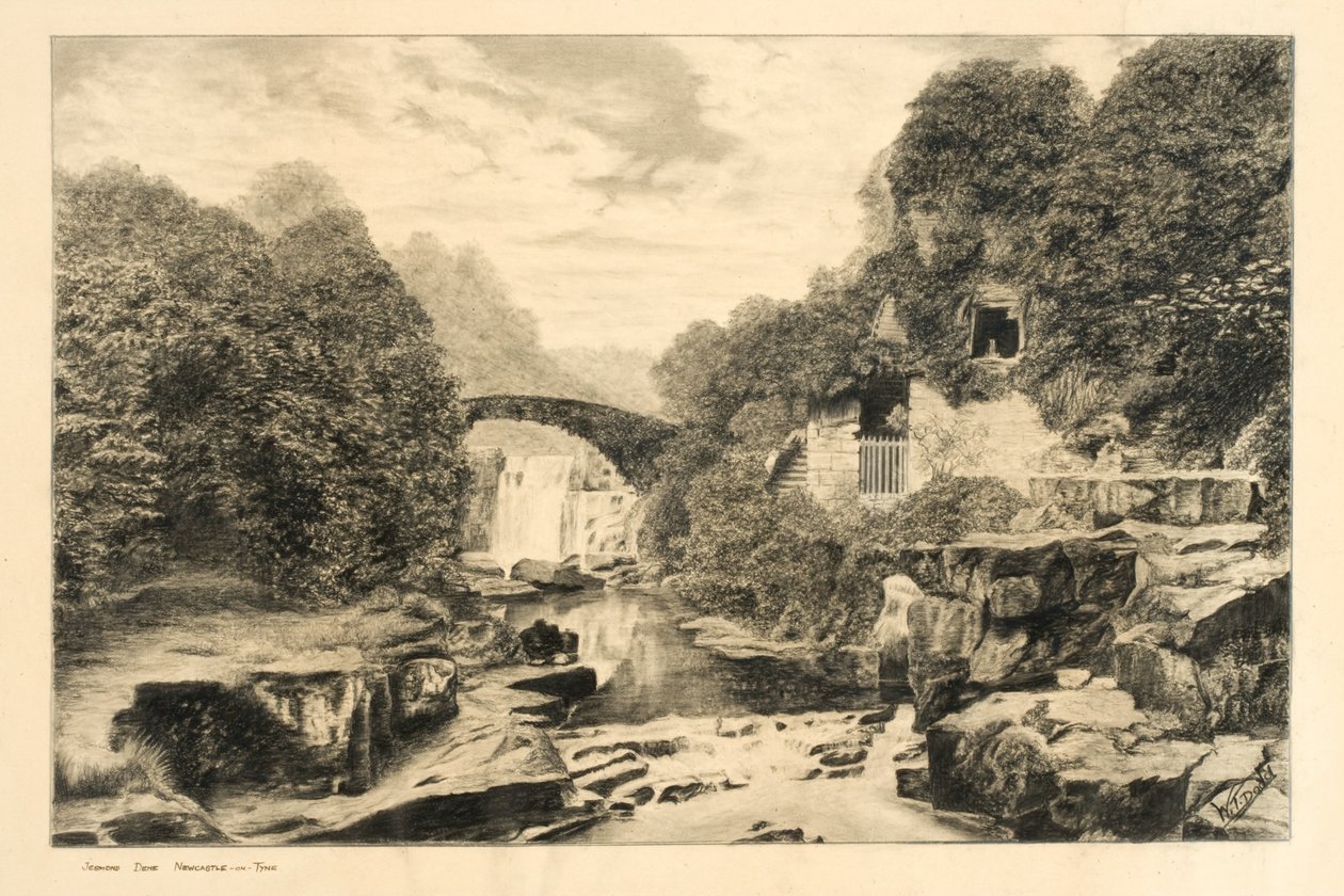 Jesmond Dene (kréta és ceruza, papír) alkotó: W.T. Dodd