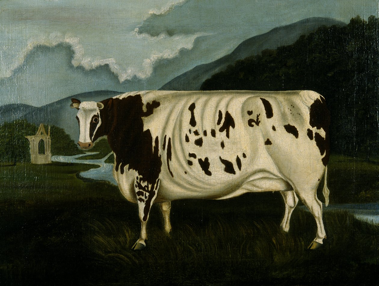 The Famous Craven Heifer (olaj, vászon) alkotó: W. D. Fryer