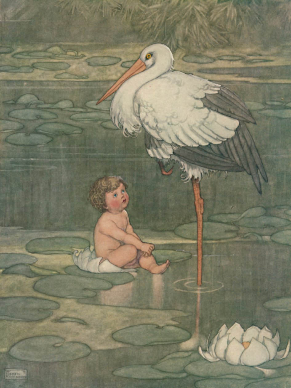 A bimbó kinyílt egy teljes virággá, 1930 alkotó: William Heath Robinson