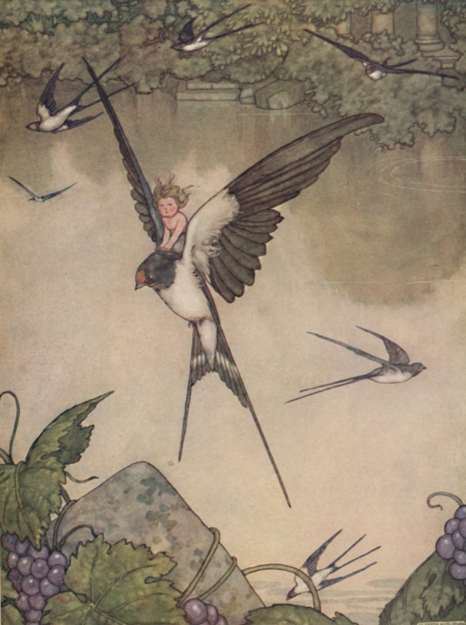 Igen Veled megyek! Mondta Tommelise, 1930 alkotó: William Heath Robinson