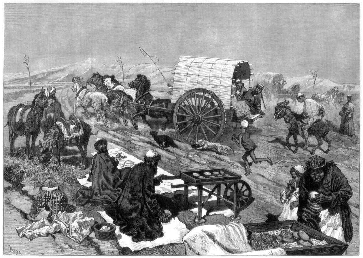 A hölgyek omnibusza, Kashgar, Közép-Ázsia, 1875. alkotó: W. Palmer
