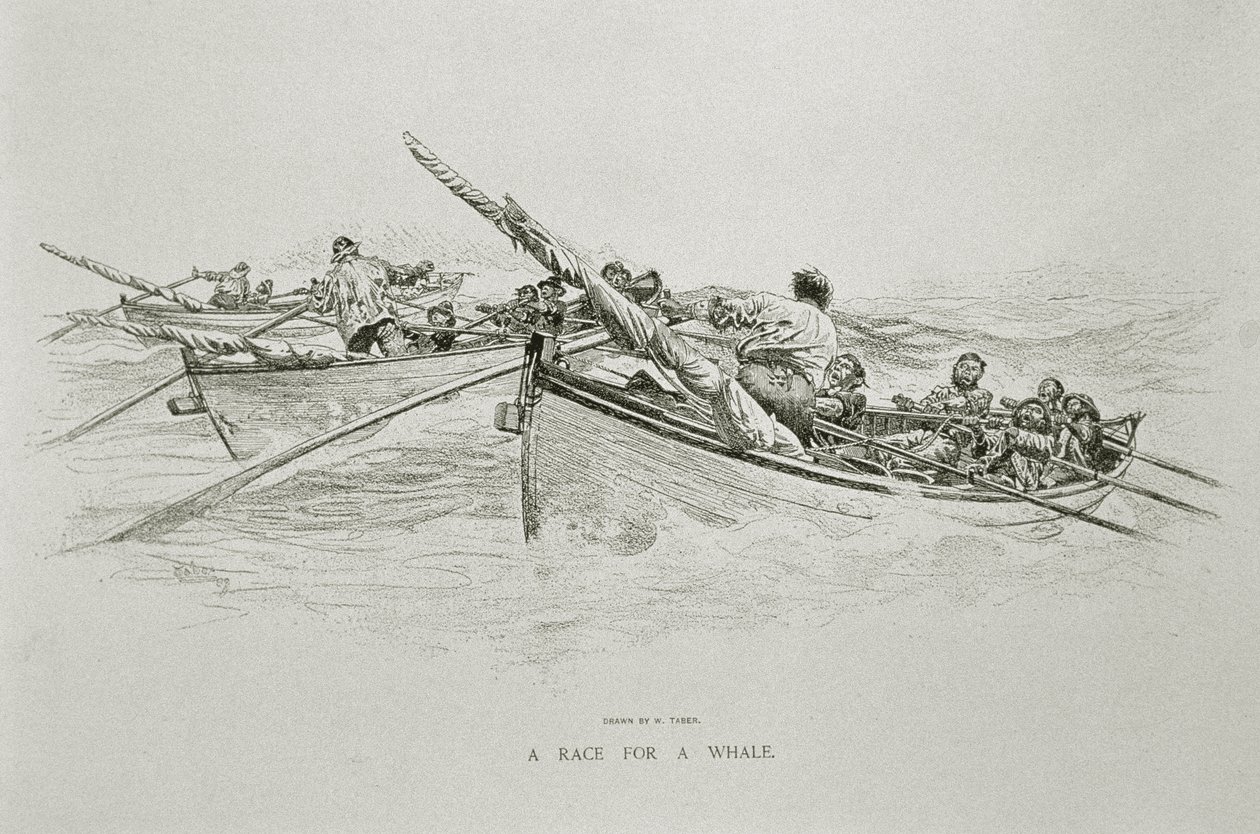 „A Race for a Whale”, a „The Perils and Romance of Whaling” címmel, Century Magazine, 1890. június (litho) alkotó: W. Taber