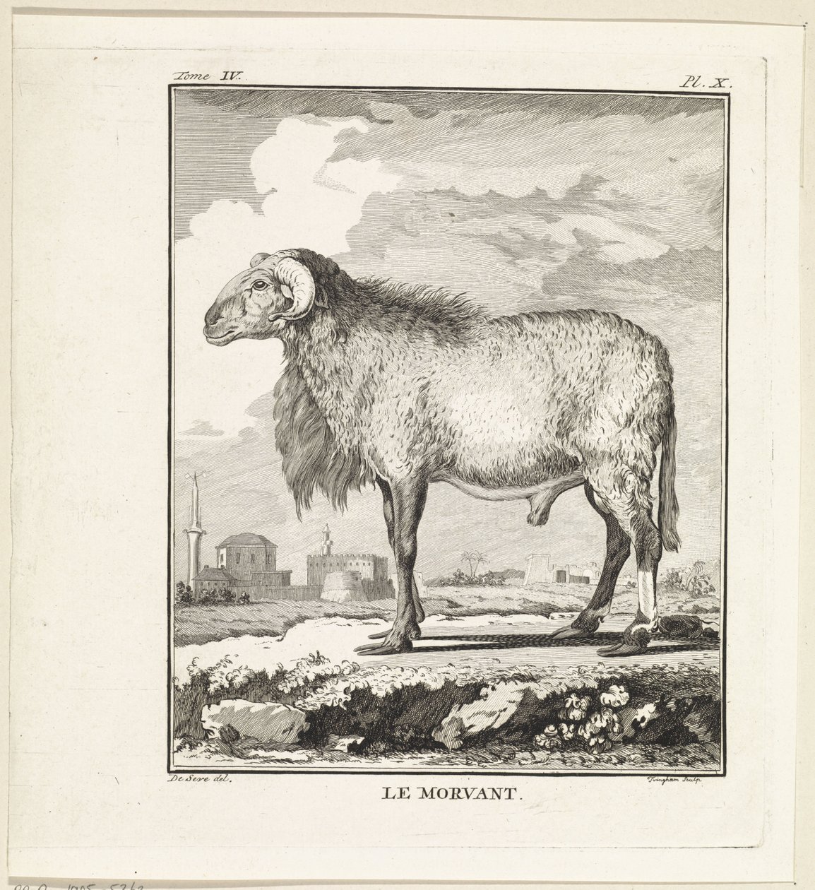Ram Le Morvant (cím az objektumon) alkotó: W. Tringham