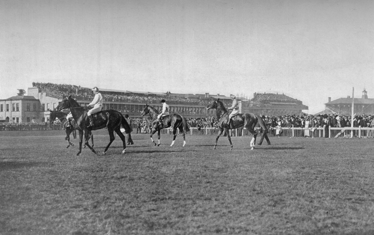 St. Leger lovak a doncasteri lelátó előtt, c1901, 1903 alkotó: W. W. Rouch