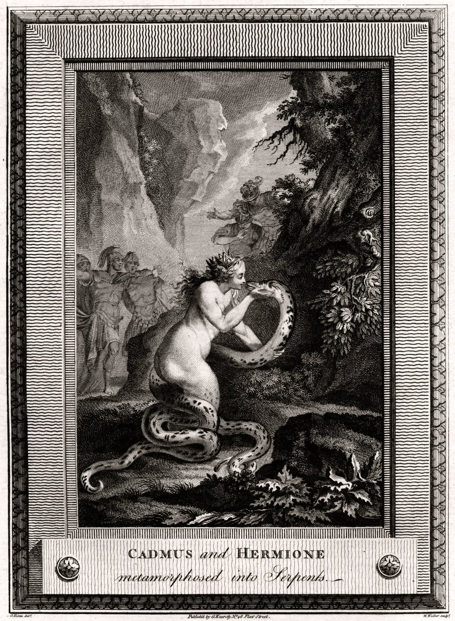 Kadmus és Hermione, kígyókká átalakulva, 1776 alkotó: W. Walker