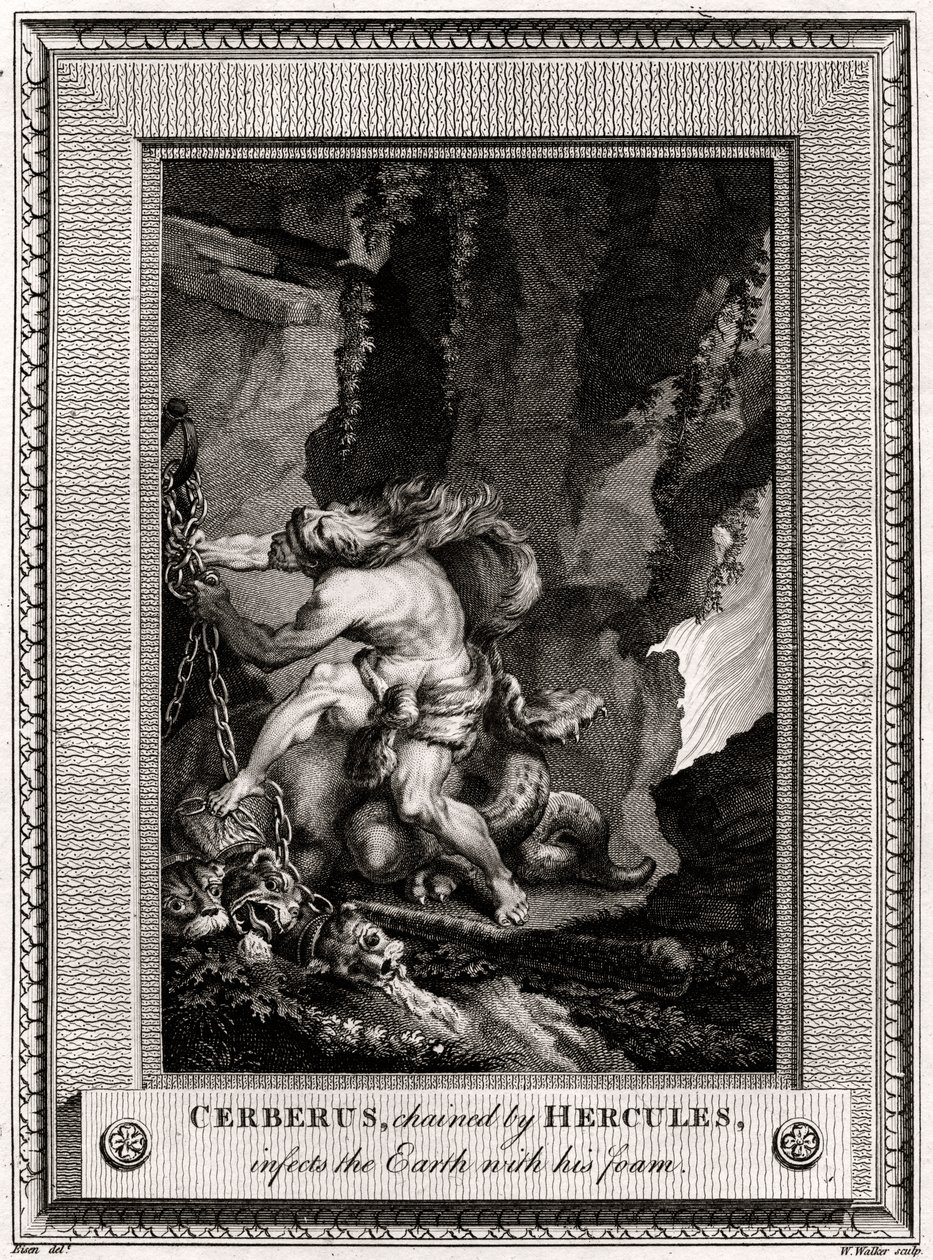 A Herkules által megláncolt Cerberus megfertőzi a Földet habjával, 1774 alkotó: W. Walker