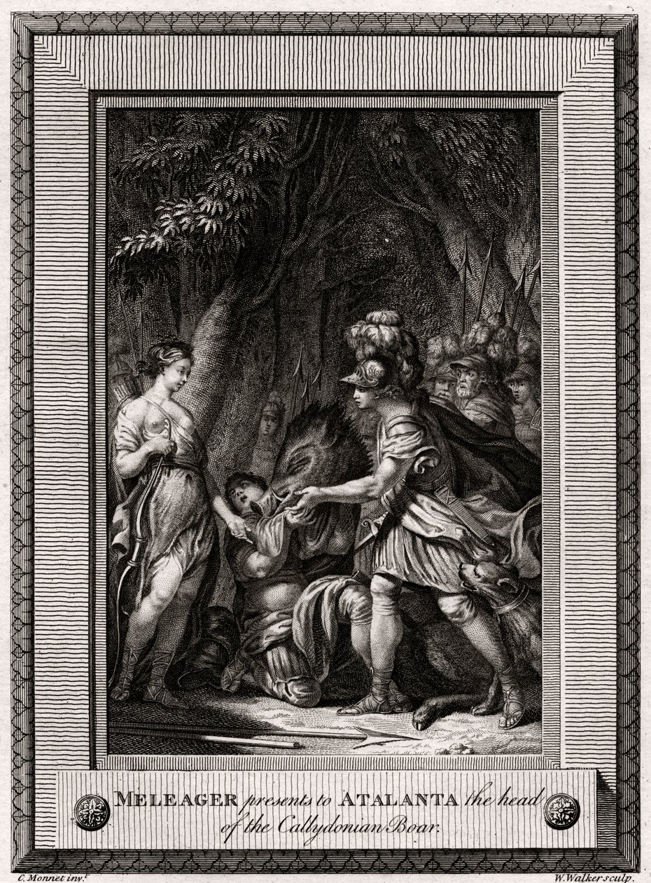 Meleager ajándékozza Atalantának a kallidoni vaddisznó fejét, 1774 alkotó: W. Walker