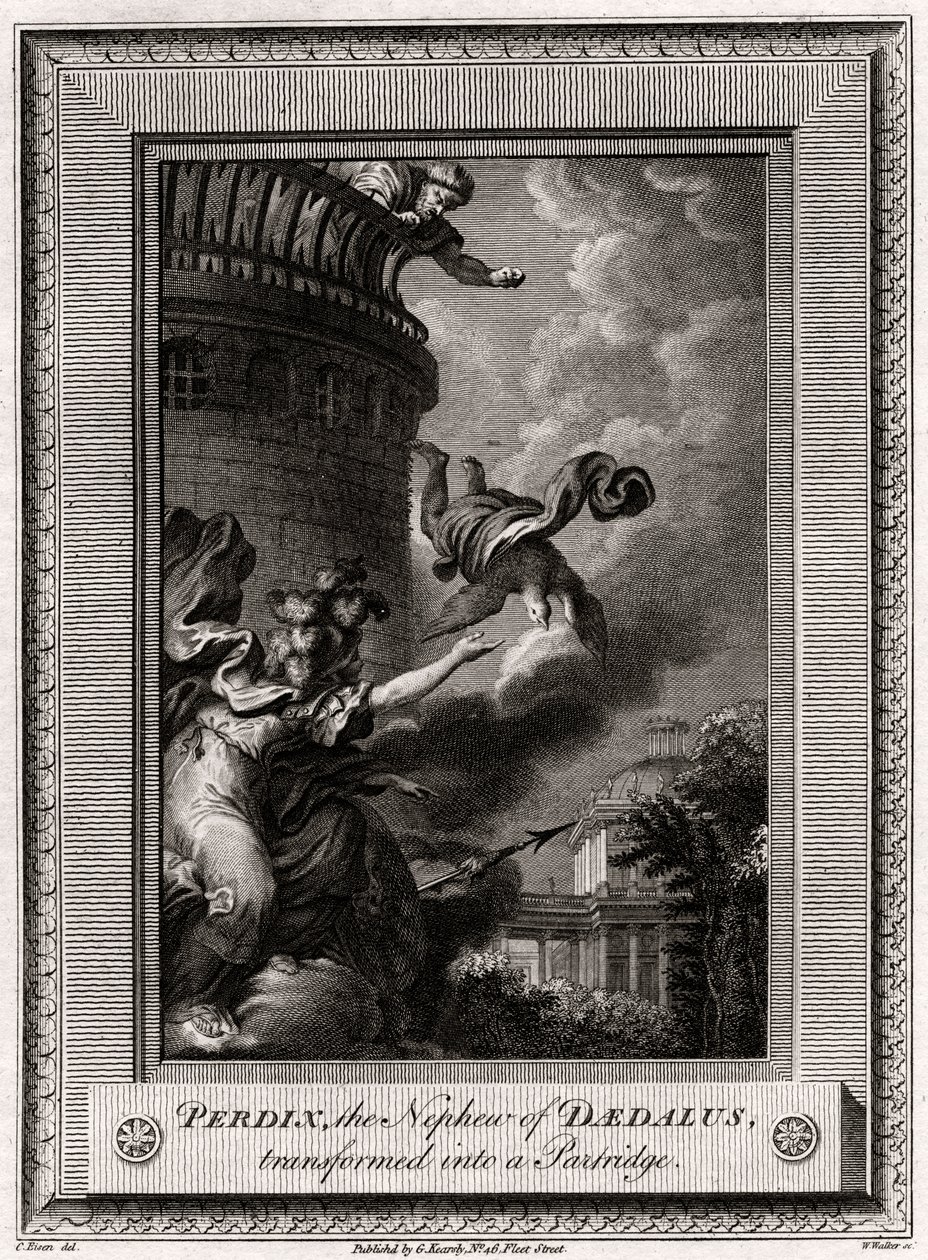 Perdix, Daedalus unokaöccse, aki Partridge-vé változott, 1774 alkotó: W. Walker