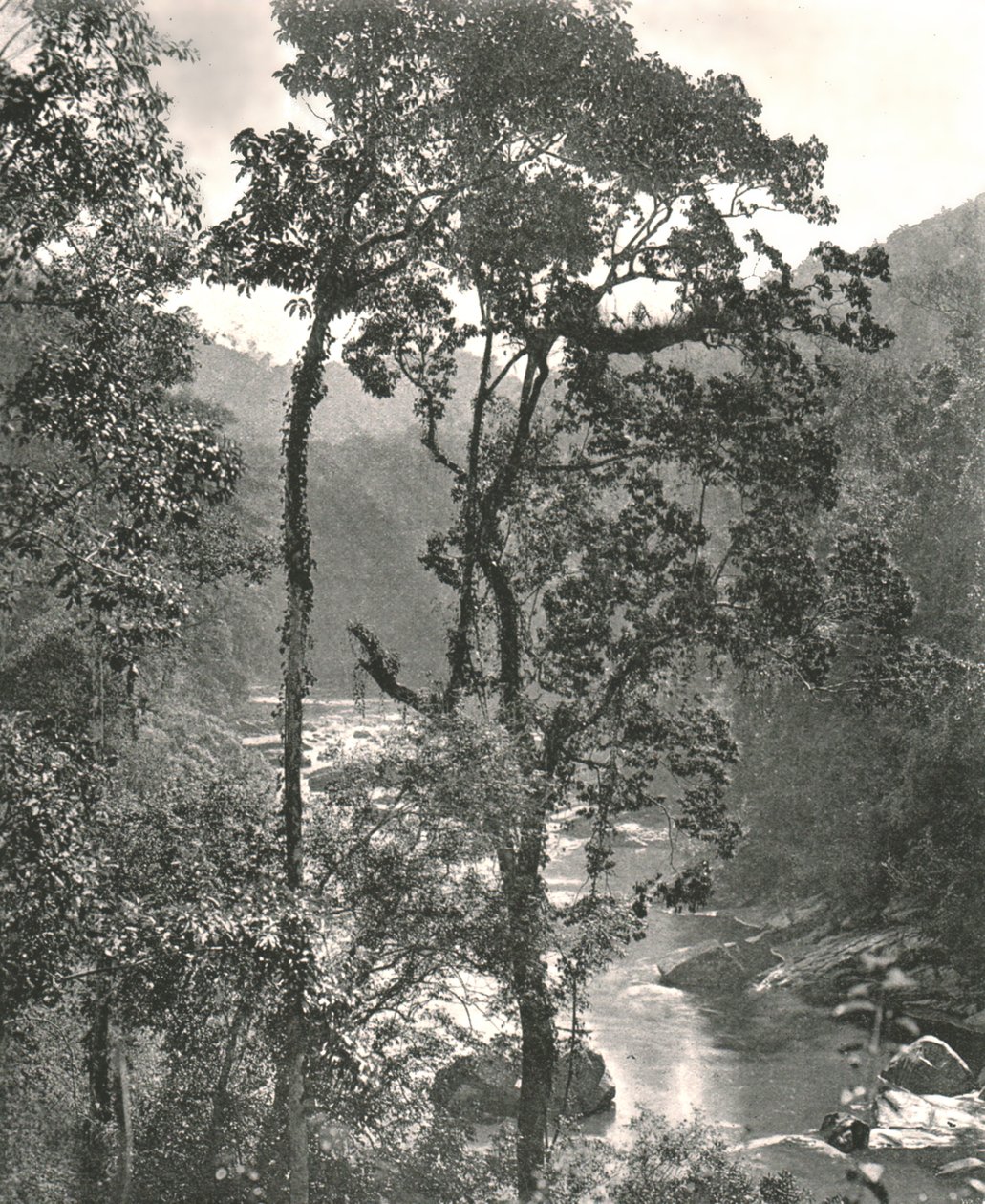 Kilátás a Kelani folyóra, Kurunegala, Ceylon, 1895. alkotó: W and S Ltd