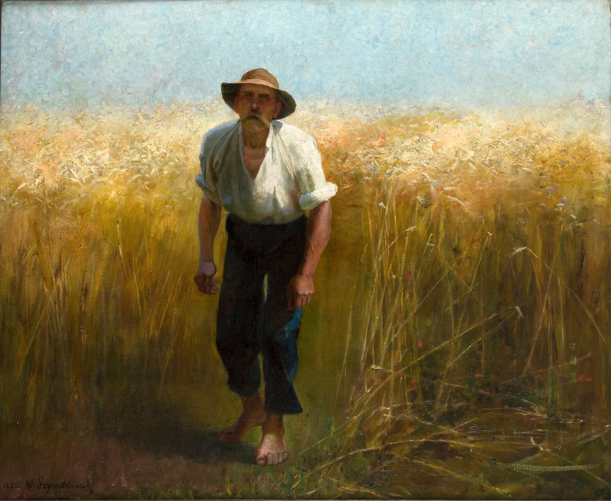 Kombájn alkotó: Waclaw Szymanowski