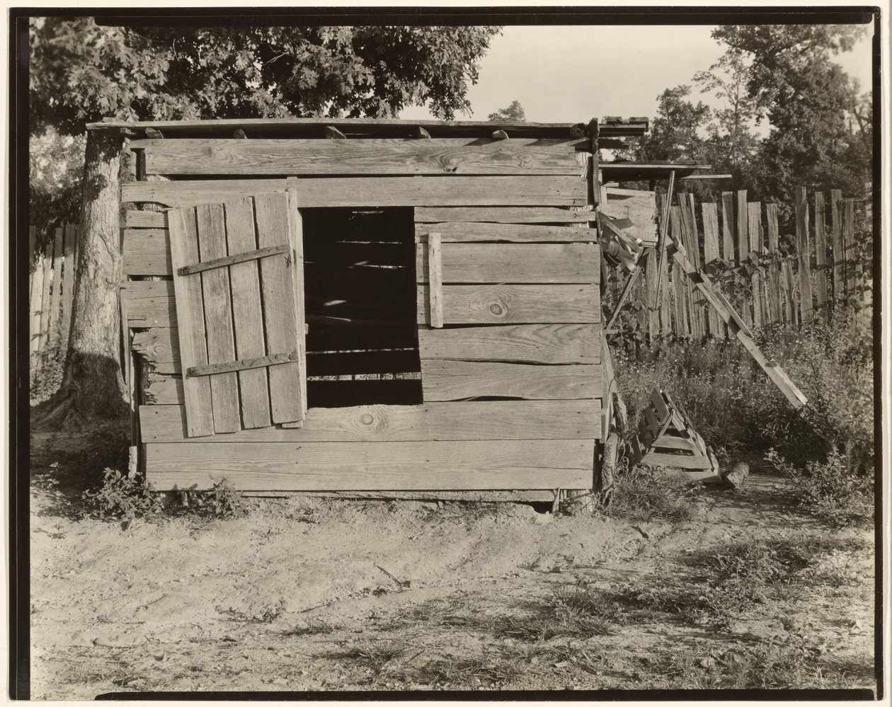 Csirkeól Floyd Burroughs farmján, Hale megye, Alabama alkotó: Walker Evans