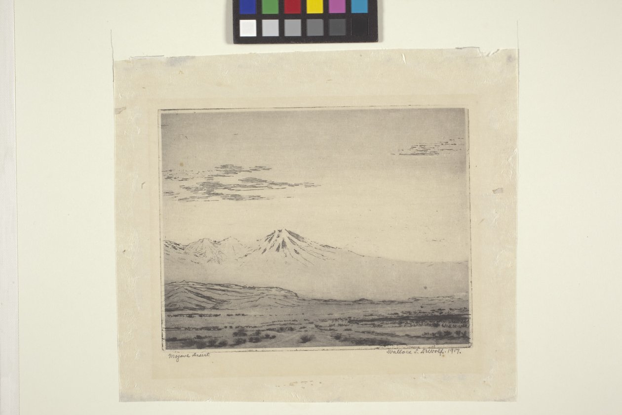Mojave sivatag alkotó: Wallace Leroy DeWolf
