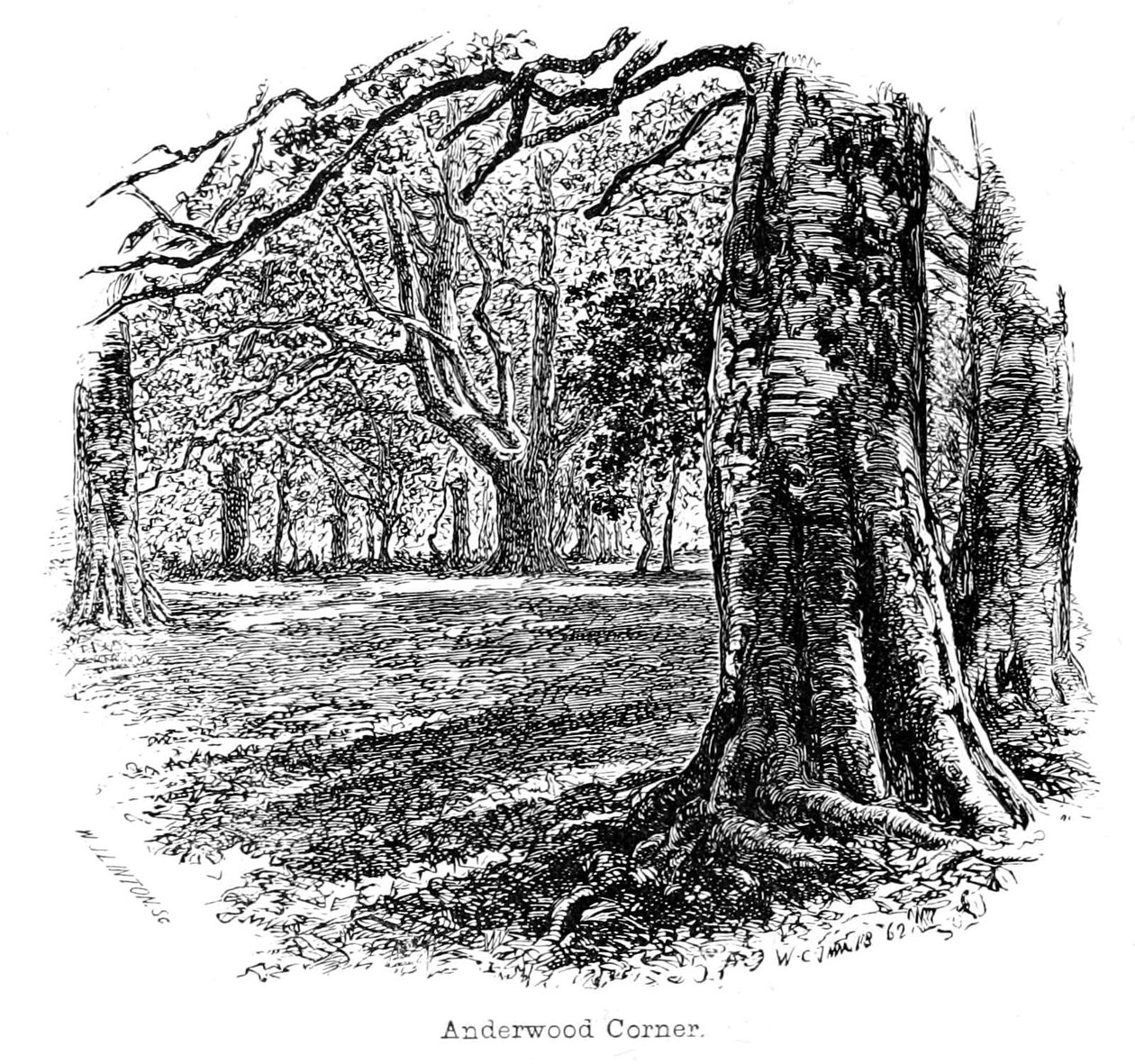 Anderwood Corner alkotó: Walter Crane