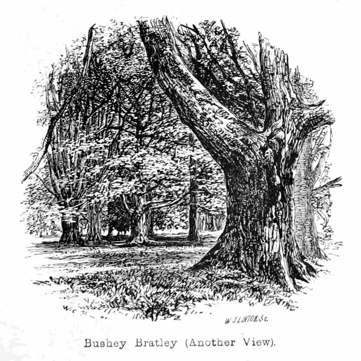 Bushey Bratleys alkotó: Walter Crane