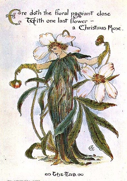 Illusztráció, amely egy tündért mutat karácsonyi rózsaként alkotó: Walter Crane