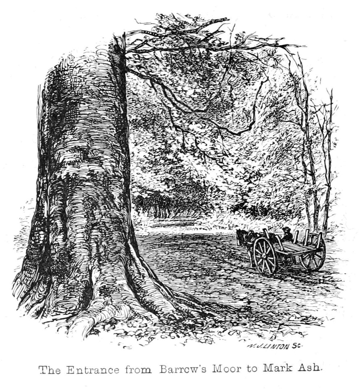 A bejárat Barrows Moor -tól Mark Ash -ig alkotó: Walter Crane