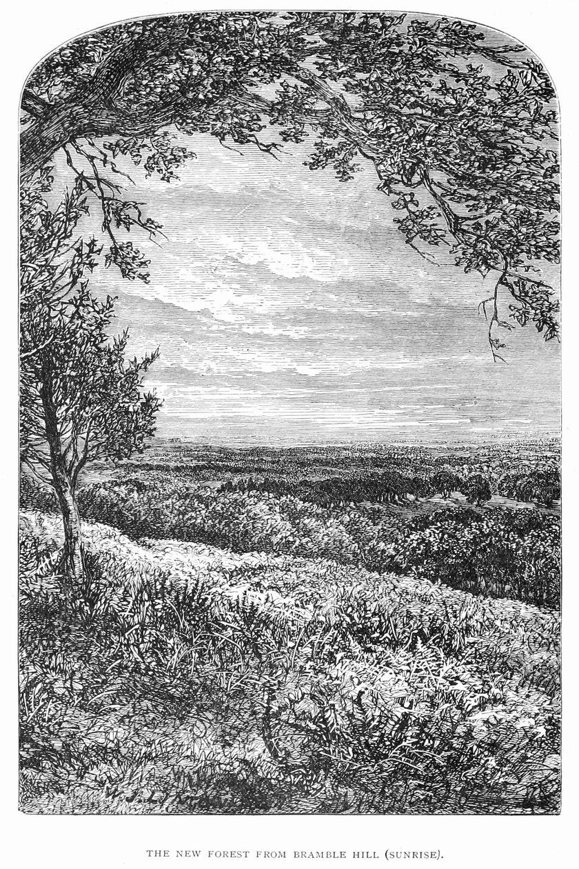 Az újerdő története és tája alkotó: Walter Crane