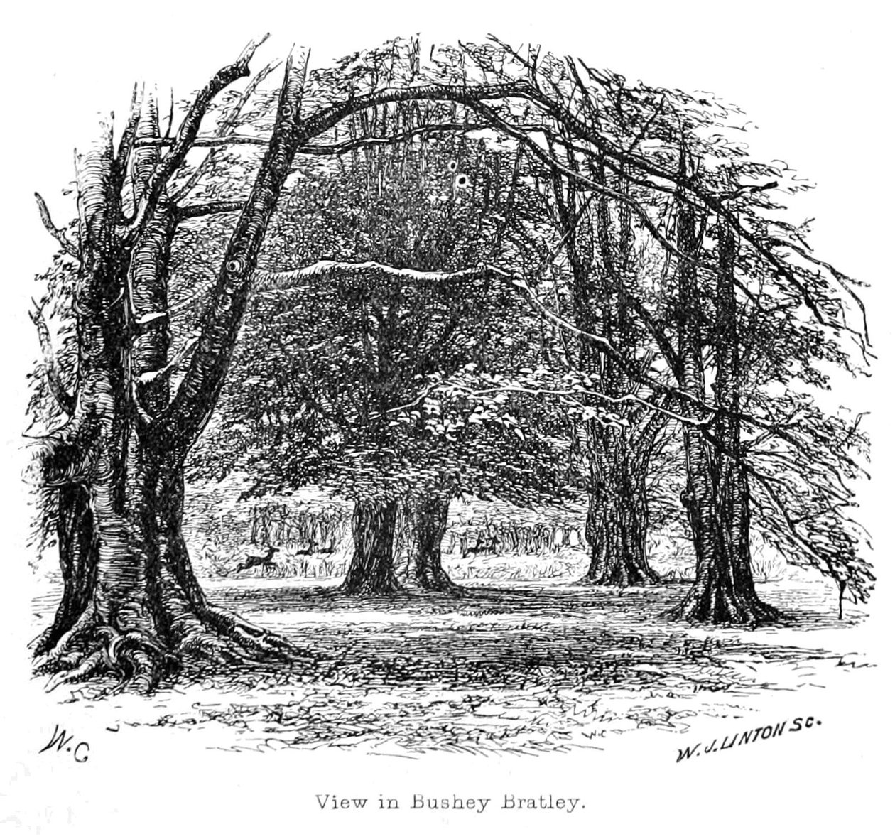 Nézet Bushey Bratley -ben alkotó: Walter Crane