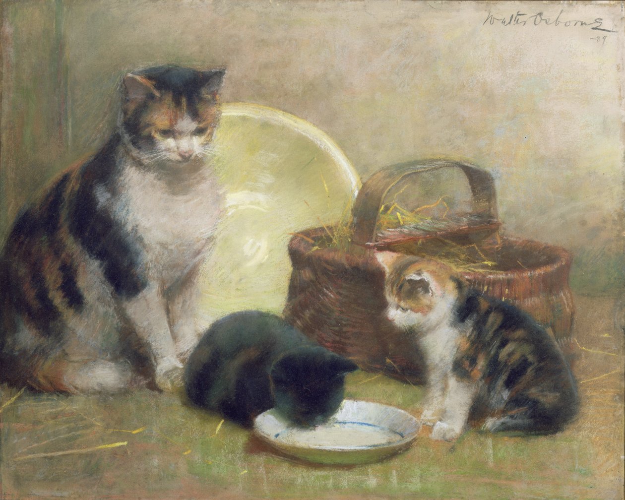 Macska és cicák, 1889 (pasztell) alkotó: Walter Frederick Osborne