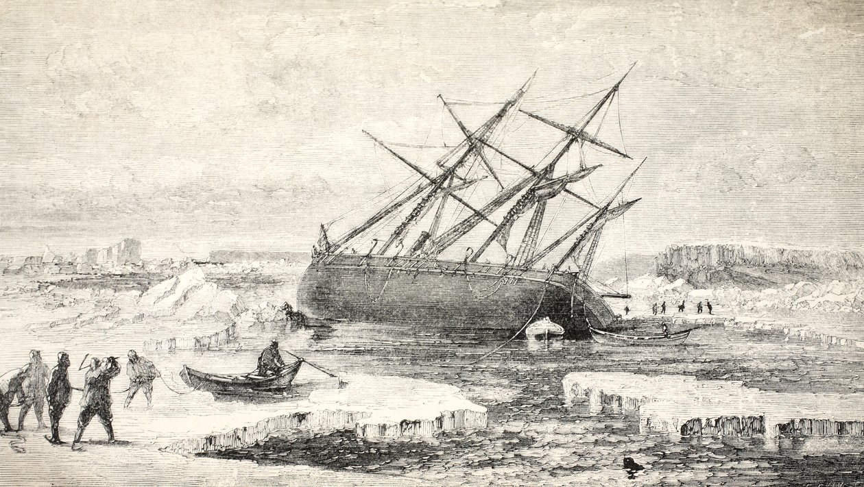 A róka egy sziklán a Buchan-sziget közelében, 1859 alkotó: Walter William May