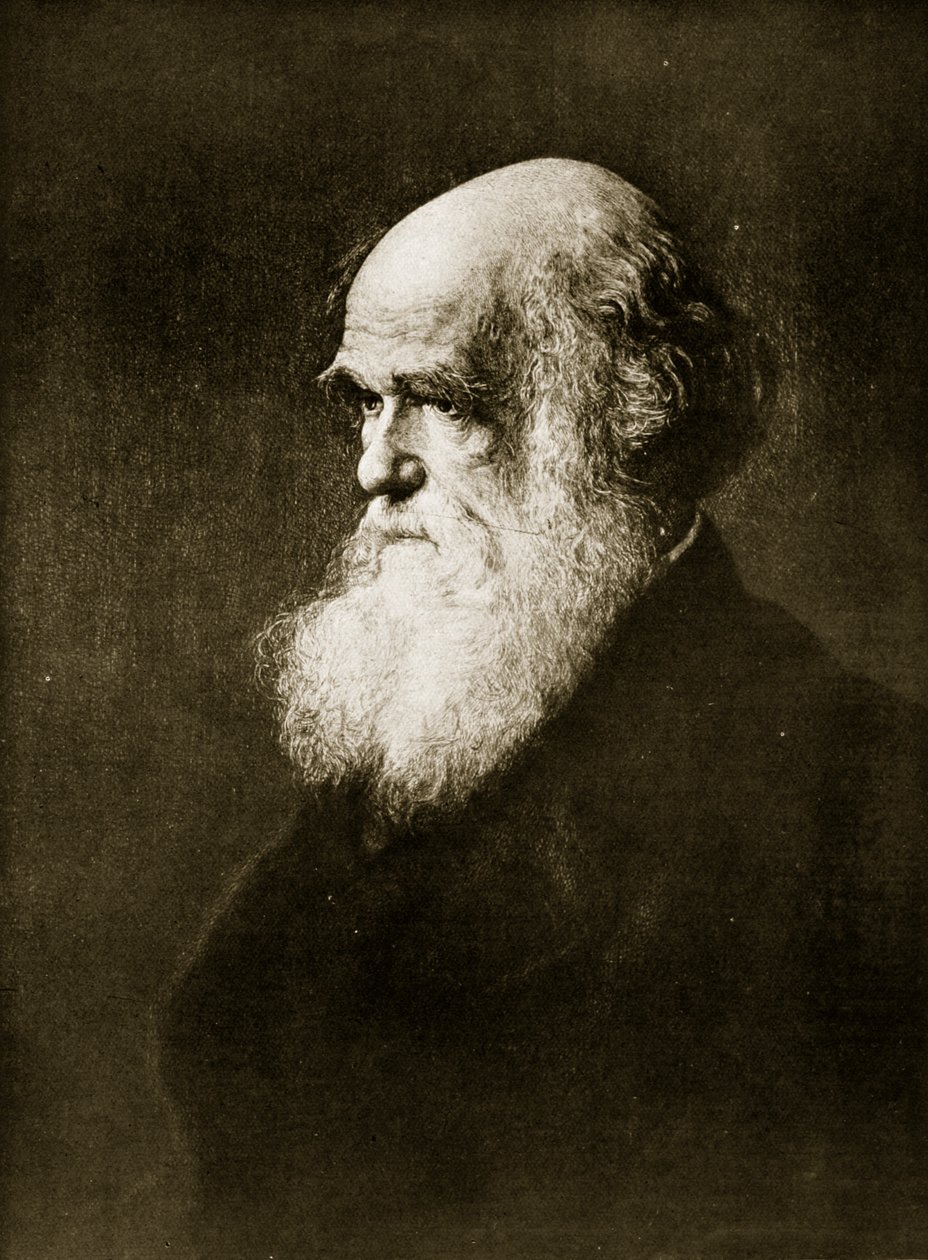 Charles Darwin, nyomat W.W. festménye után. Ouless, illusztráció a „Nemzet történelméből” alkotó: Walter William Ouless